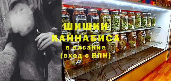 бошки Осинники