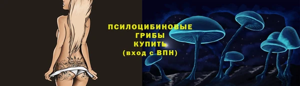 бошки Осинники