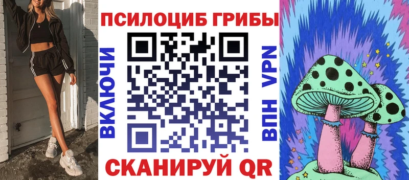 Псилоцибиновые грибы GOLDEN TEACHER Богородицк