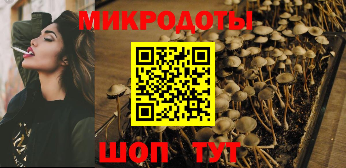 Галлюциногенные грибы Cubensis Богородицк