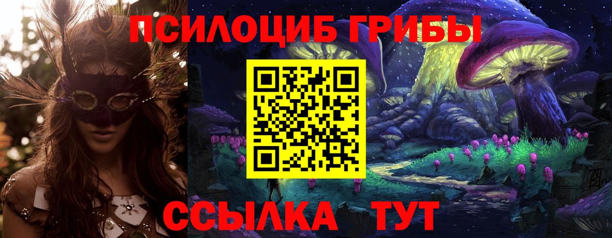 Богородицк  Псилоцибиновые грибы мицелий  Вход с VPN 